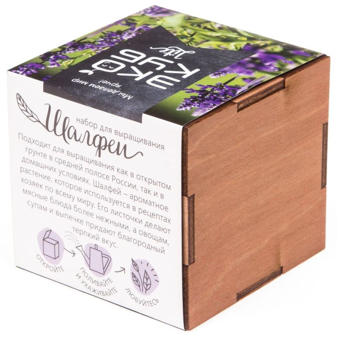 Набор для выращивания Шалфей