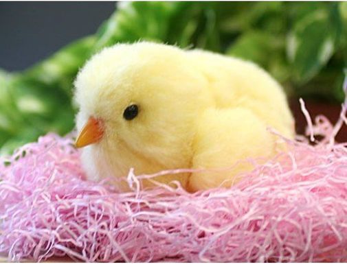 Цыпленок Sega Robot Chicken