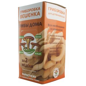 Набор для выращивания грибов Гриборобка