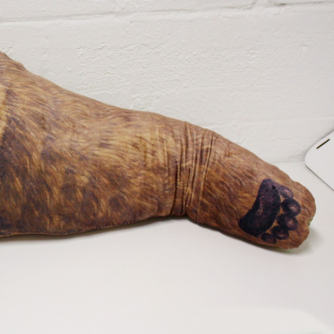 Подушка Рука медведя Bear Hug Pillow Лапа крупным планом