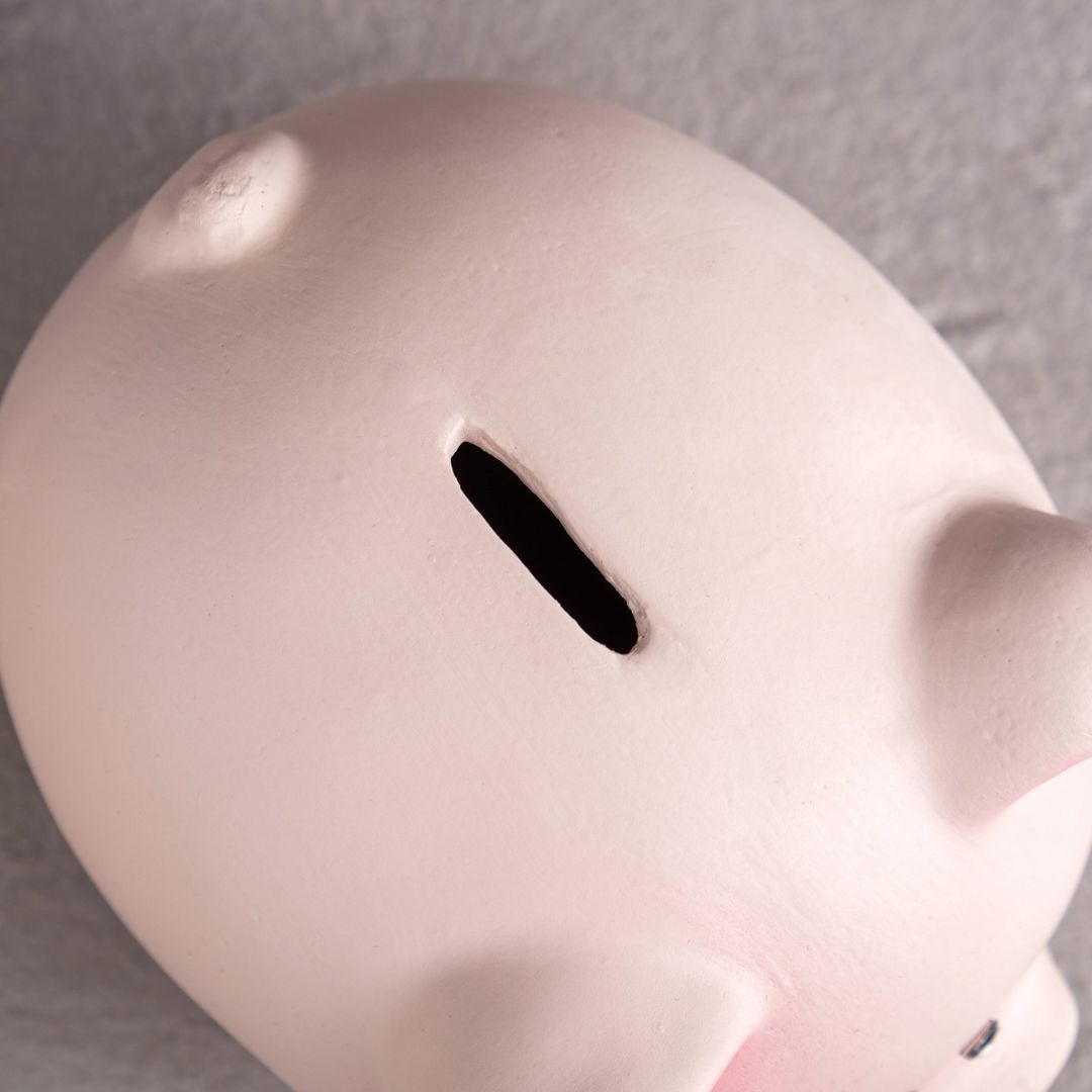 Копилка Свинка На красивую жизнь Копилка Свинка На красивую жизнь