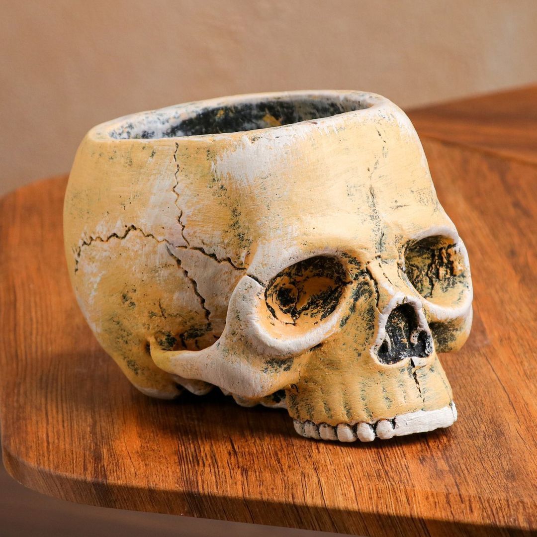 Кашпо Череп (0,5 л)