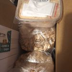 Набор для выращивания грибов Грибная коробка Отзыв