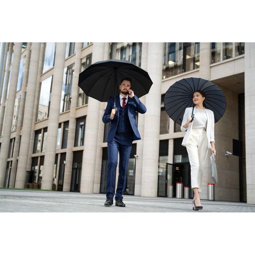 Зонт-трость Lui (Черный) Зонт-трость Lui (Черный)