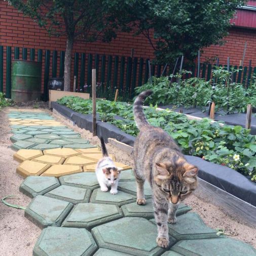 Форма-опалубка для тротуарной плитки