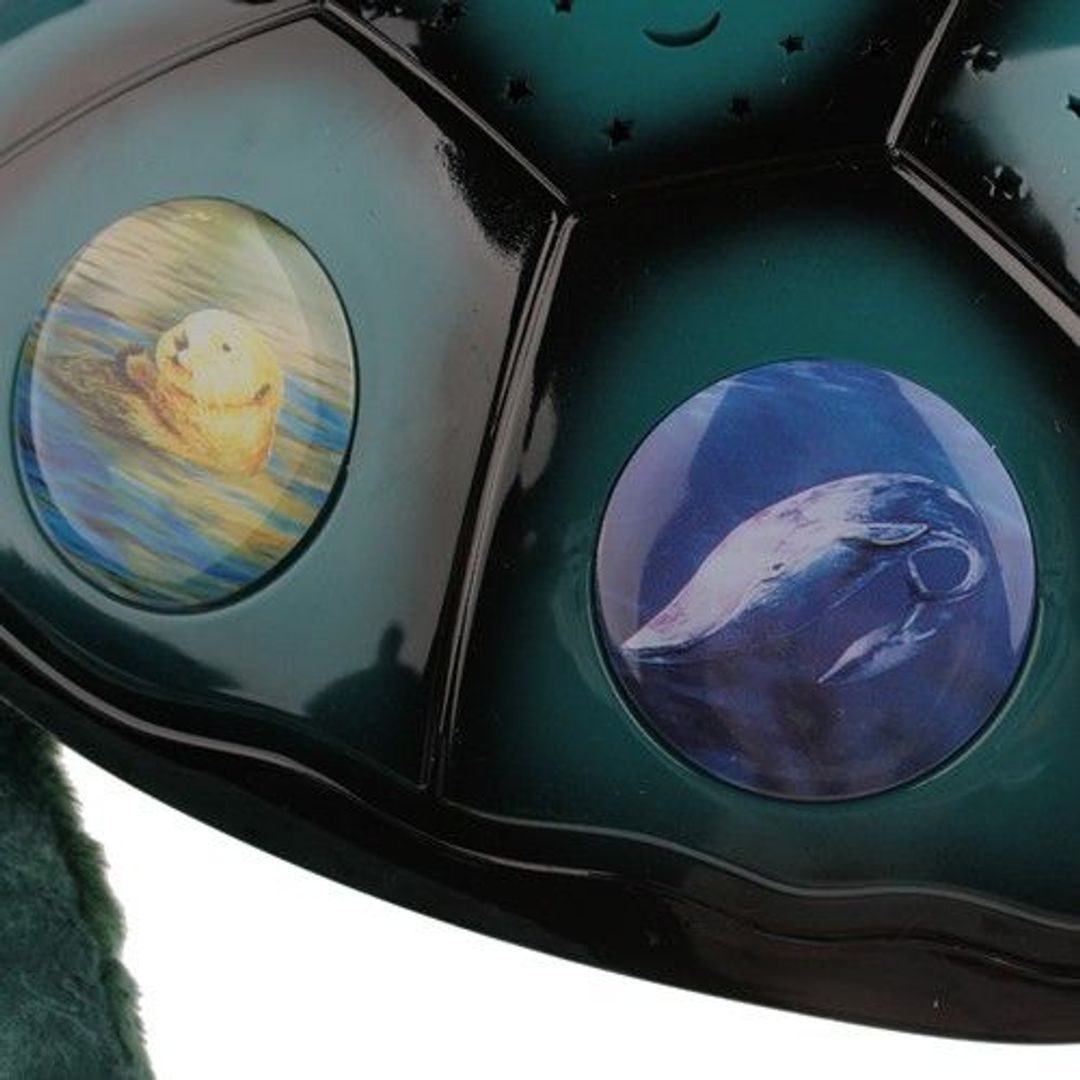 Проектор Морская черепаха