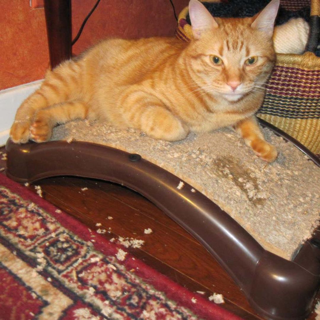 Когтеточка для кошек EmeryCat Когтеточка для кошек EmeryCat