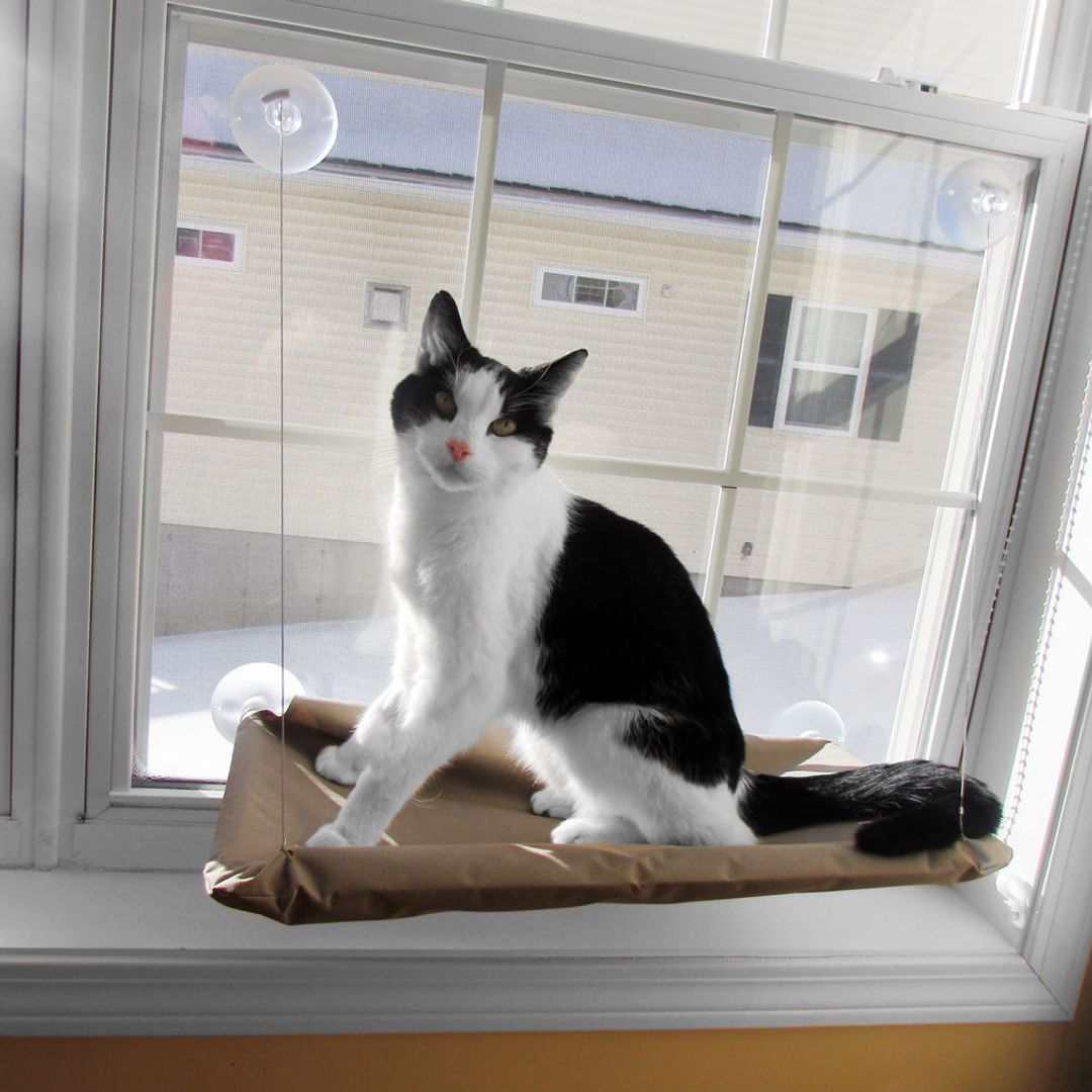 Подвесная лежанка для кошек Sunny Seat Использование