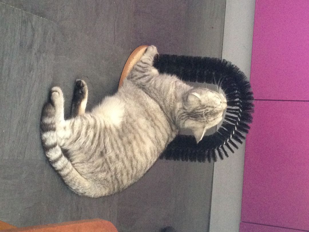 Фото покупателя Светлана Фото покупателя Светлана