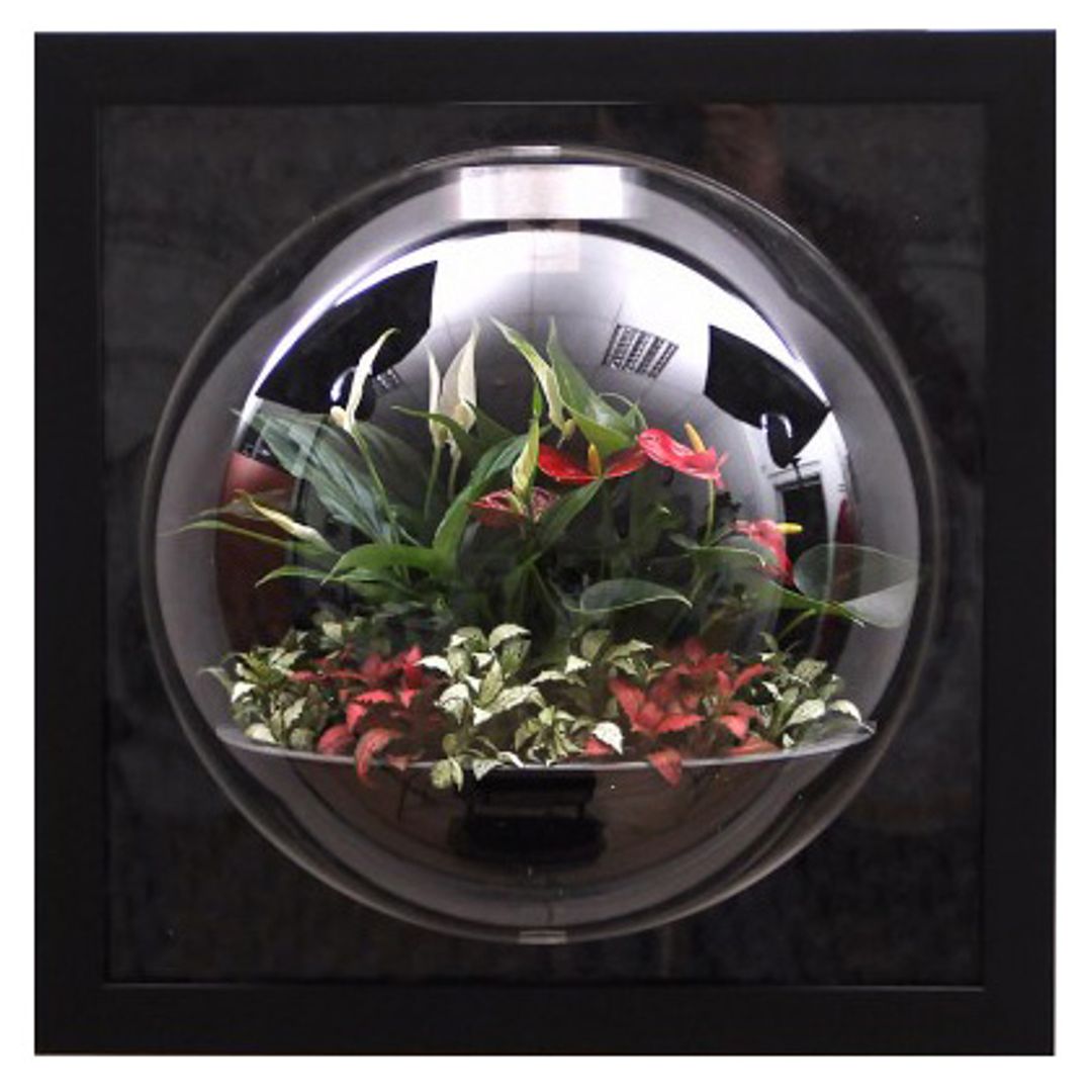 Настенный флорариум Flandriss Черный Шик