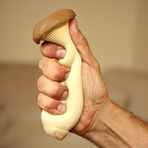 Антистресс Гриб — подосиновик Антистресс Гриб — подосиновик