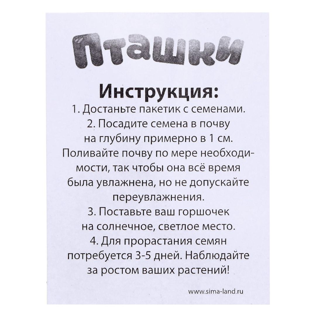Набор для опытов Пташки, выращиваем травку Набор для опытов Пташки, выращиваем травку