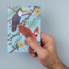 Обложка для паспорта New wallet New Joyparrots