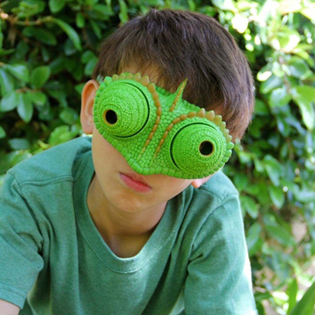 Очки Хамелеон Chameleon Vision купить по цене 990 руб. в интернет ...