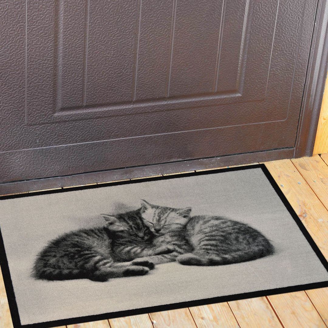 Коврик для входной двери Спящие котята