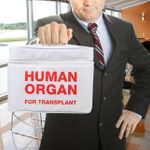 Сумка Холодильник Человеческий орган Human organ