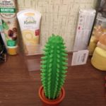 Ручка Кактус Отзыв