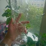 Пивной бокал Кубок Мира FIFA (700 мл) Отзыв Пивной бокал Кубок Мира FIFA (700 мл) Отзыв