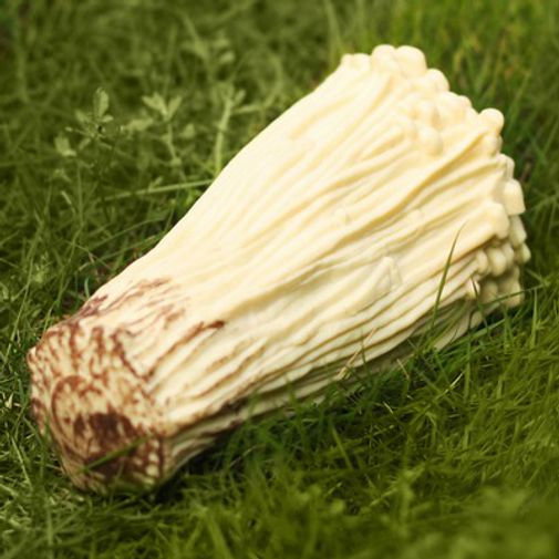 Антистресс Гриб — китайский Антистресс Гриб — китайский