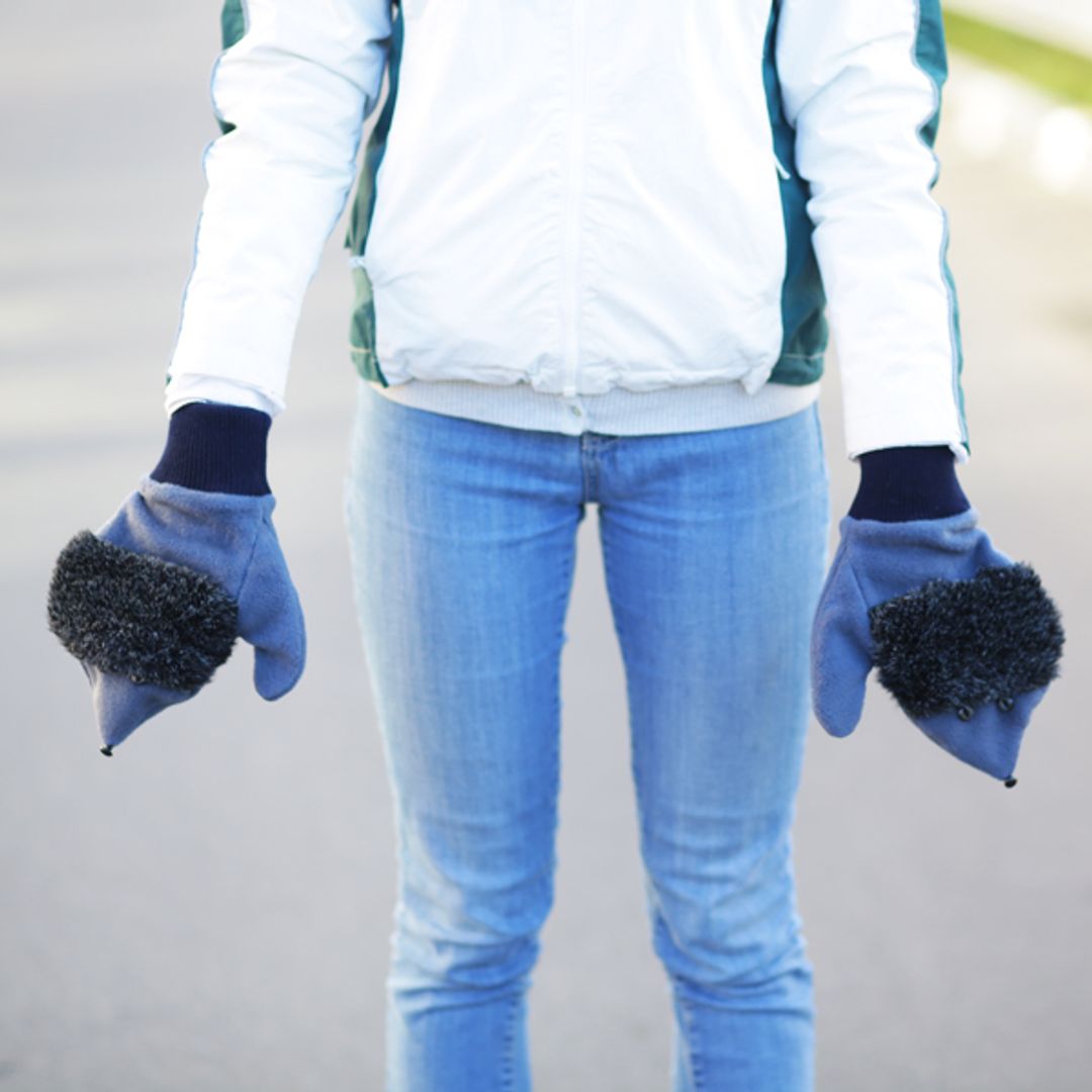 Ежовые рукавицы Ежовые рукавицы