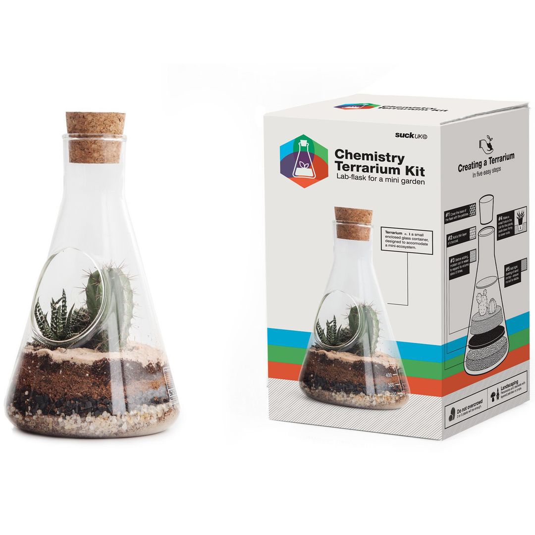 Настольный террариум для растений Chemistry Terrarium Kit
