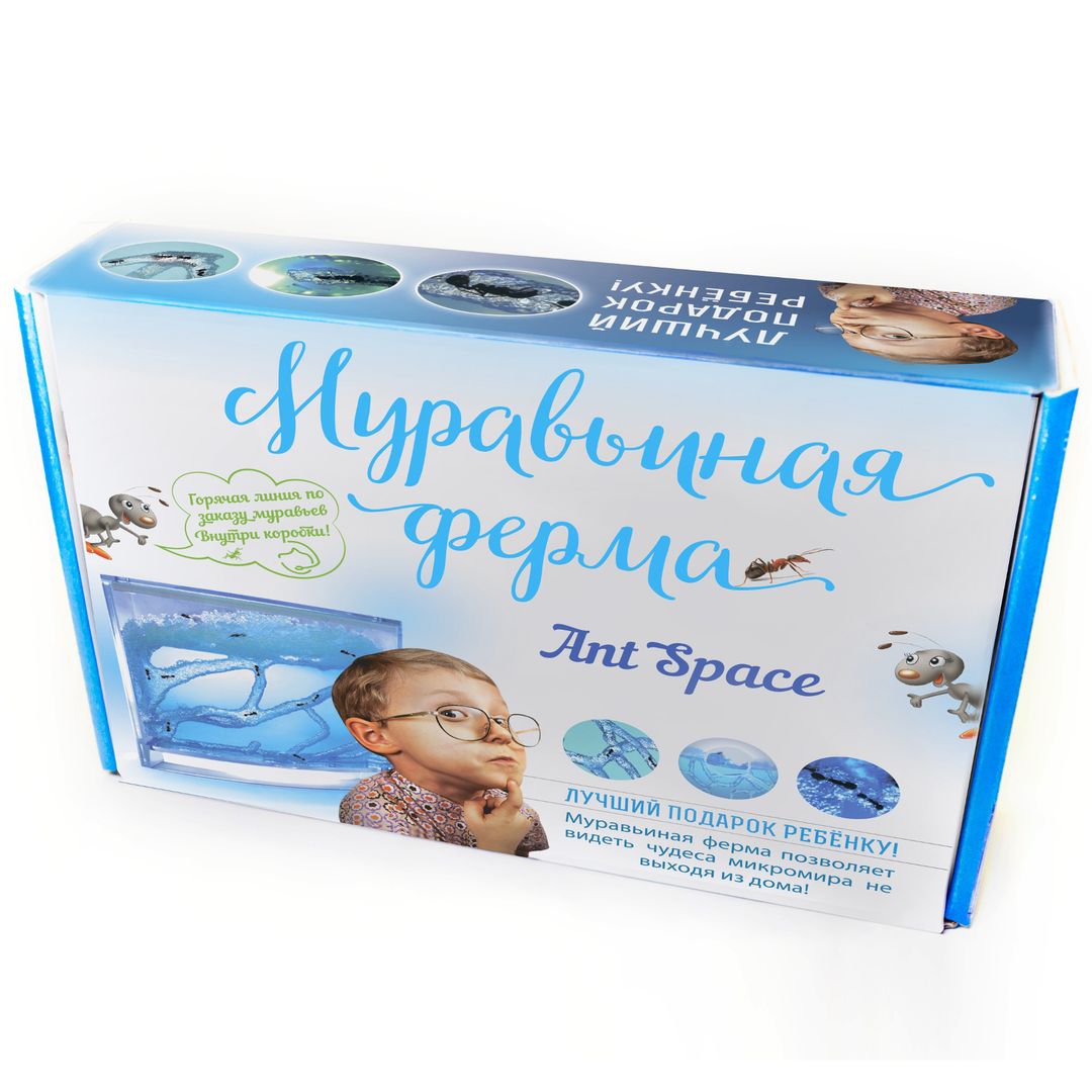 Муравьиная ферма Ant Space