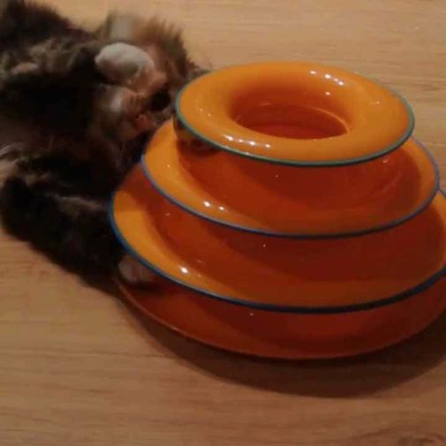 Трек с мячиками для кошек Tower of Tracks Трек с мячиками для кошек Tower of Tracks