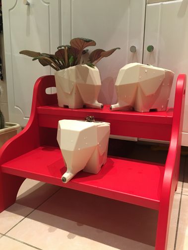 Фото покупателя Екатерина  Фото покупателя Екатерина