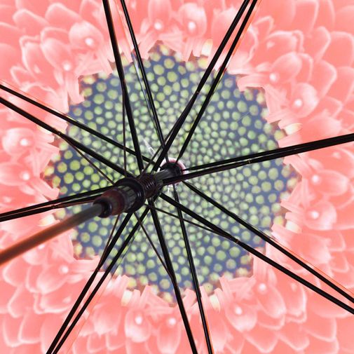 Зонт Цветок (купол) Зонт Цветок (купол)