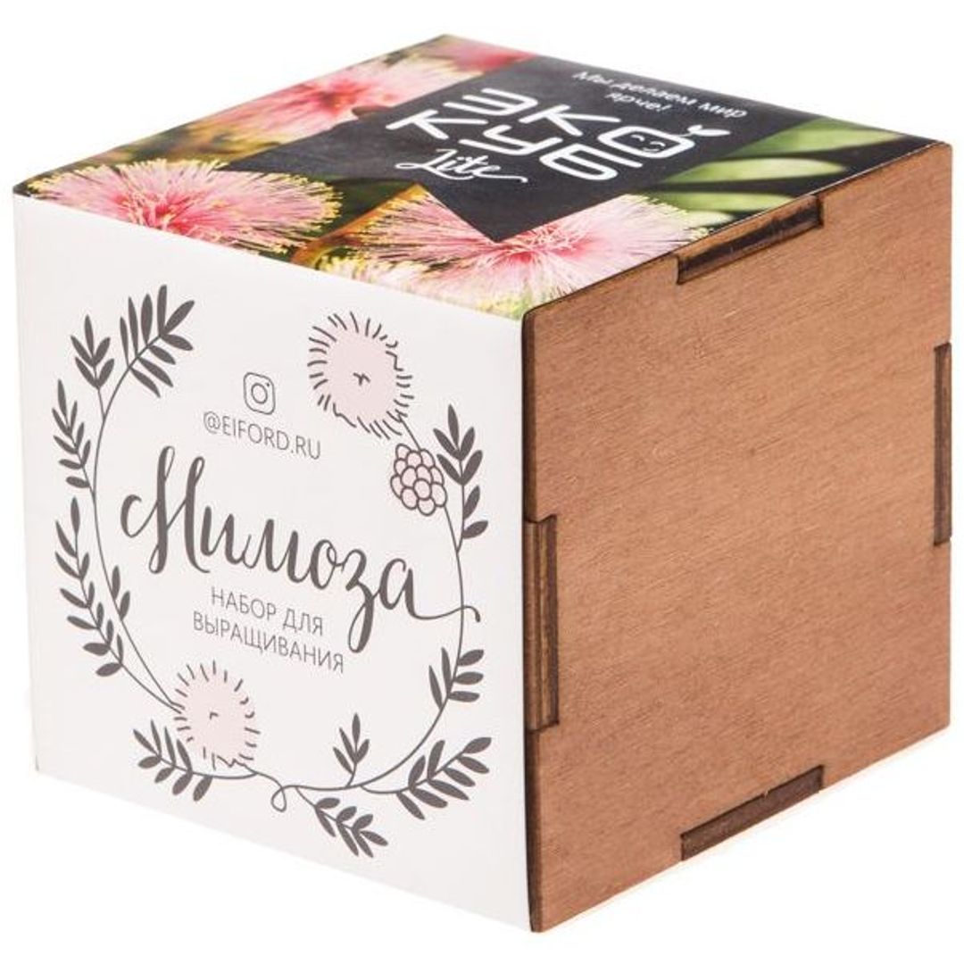 Набор для выращивания Мимоза