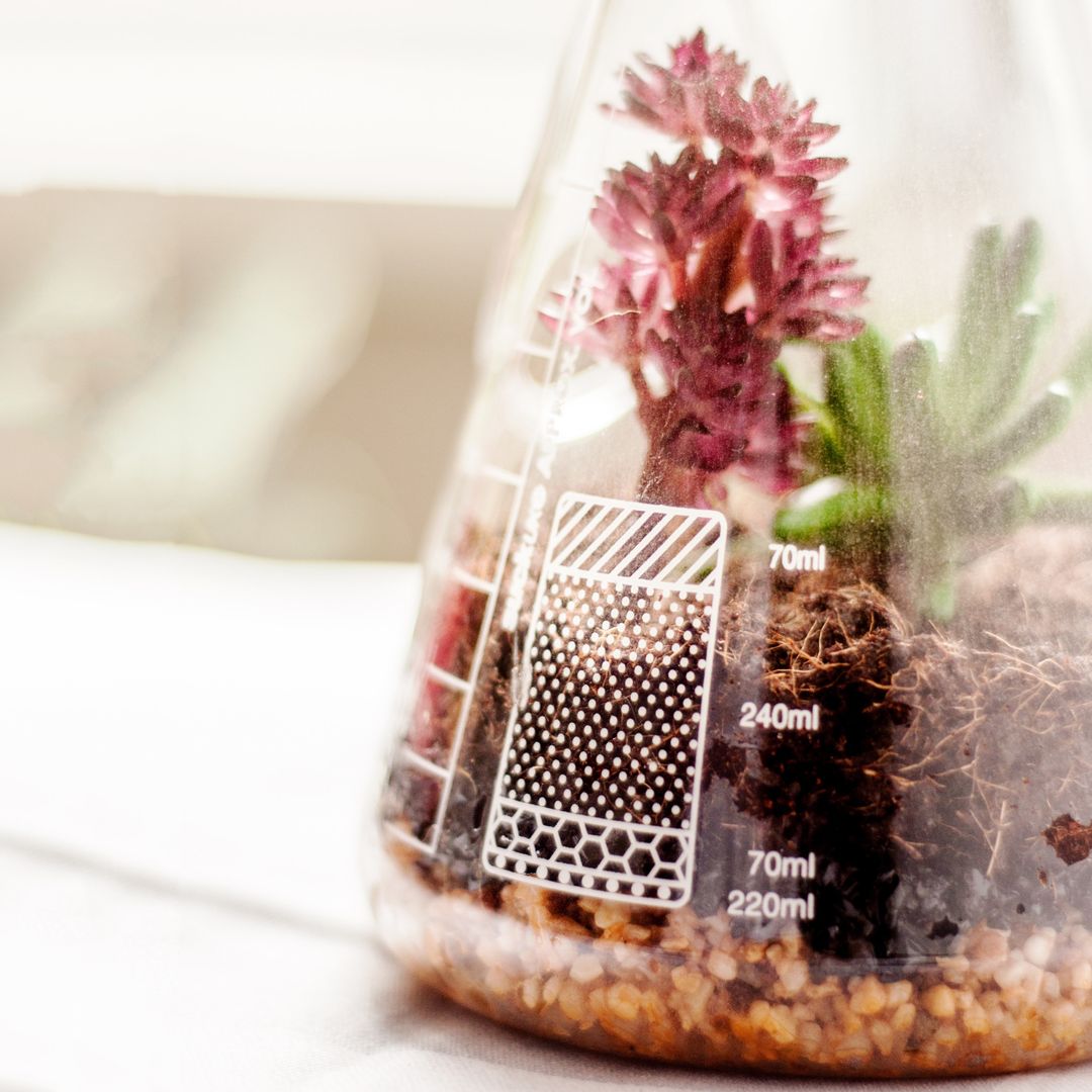 Настольный террариум для растений Chemistry Terrarium Kit