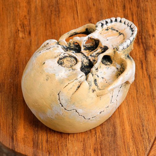 Кашпо Череп (0,5 л)