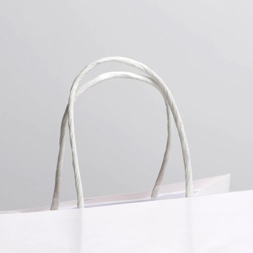 Подарочный пакет Пирожочек (22 х 22 х 11 см) Подарочный пакет Пирожочек (22 х 22 х 11 см)