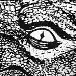 Плед Дракон Drago