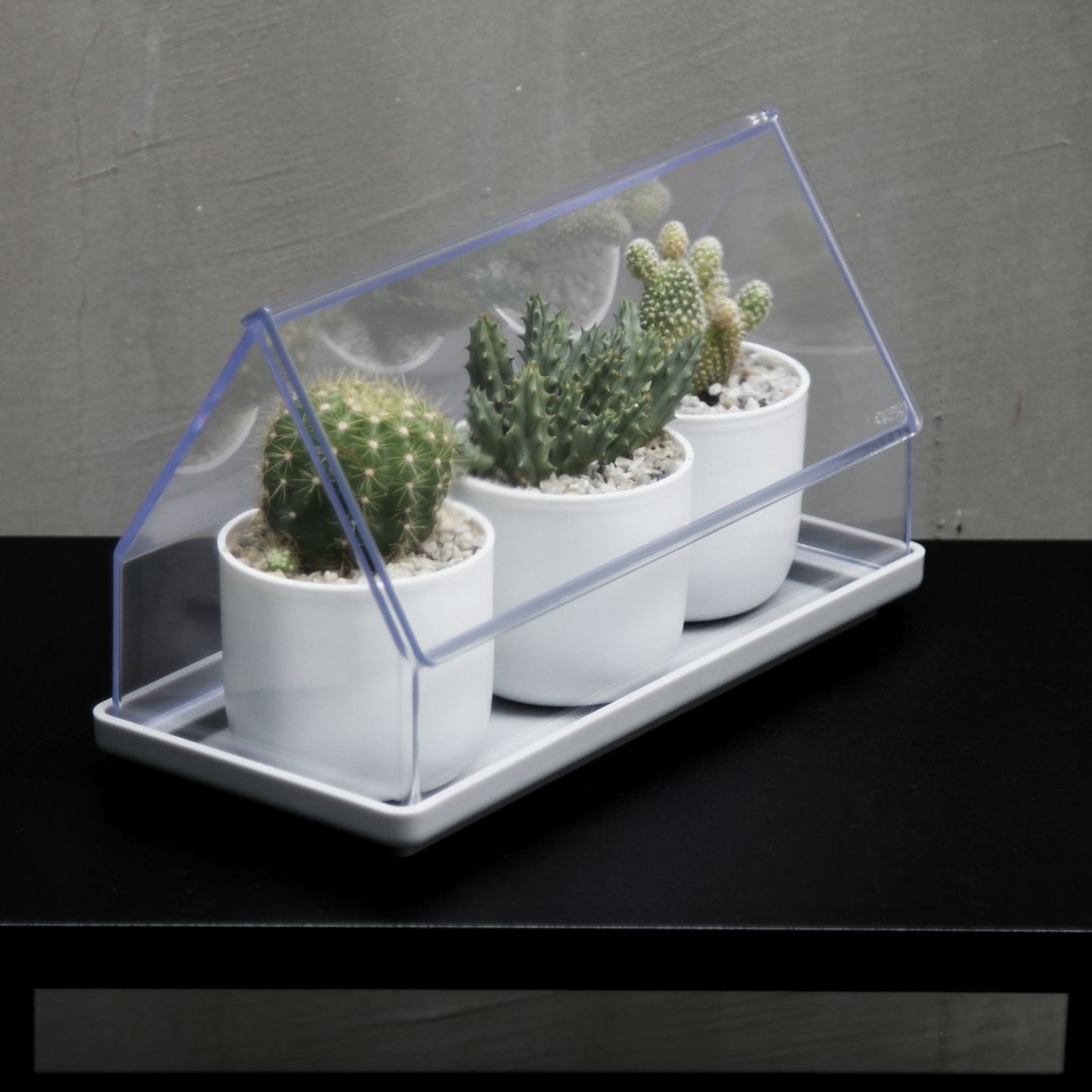 Лоток для выращивания растений Micro Green House