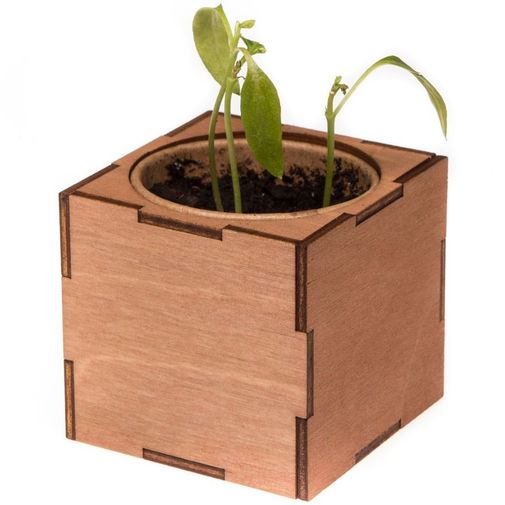 Набор для выращивания Перчик