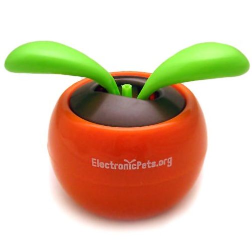 Цветок Flip Flap В Оранжевом горшочке