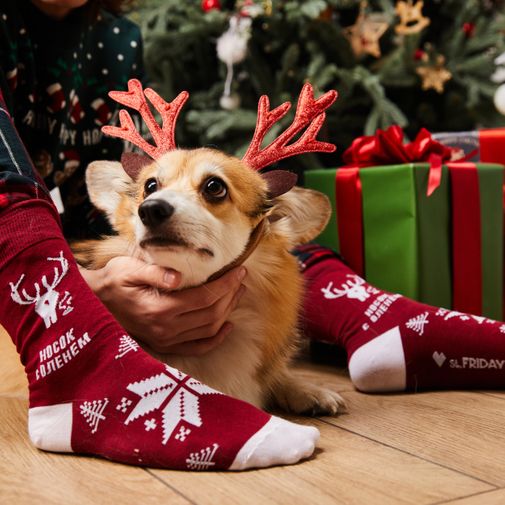 Носки с оленем, дополняющая мета-версия Носки с оленем, дополняющая мета-версия