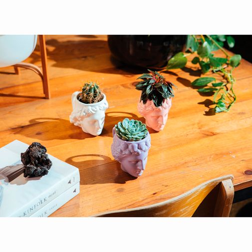 Кружка Venus (Лиловая)