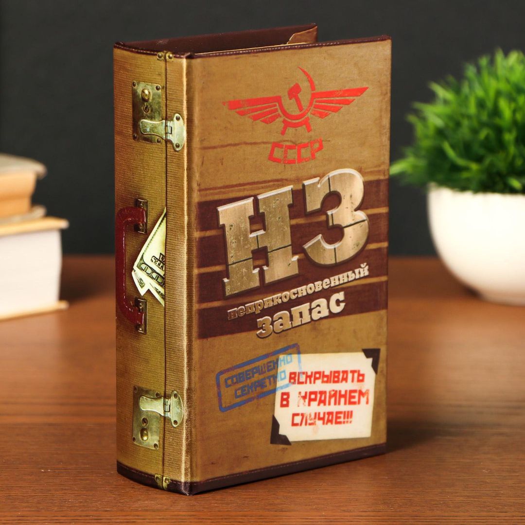 Книга Сейф Неприкосновенный запас Книга Сейф Неприкосновенный запас