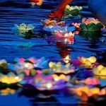 Кувшинка на воду Светящаяся