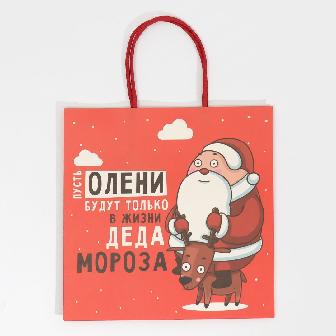 Подарочный пакет Дед мороз (22 х 22 х 11 см) Подарочный пакет Дед мороз (22 х 22 х 11 см)