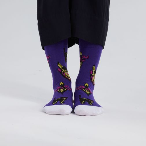 Носки Фамильяры