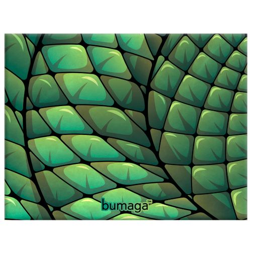 Обложка для студенческого билета Bumaga Slytherin Обложка для студенческого билета Bumaga Slytherin