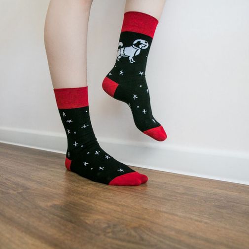 Носки Стрелка в космосе Носки Стрелка в космосе