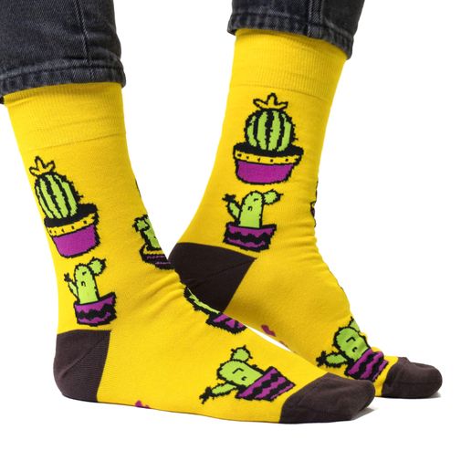 Носки Оранжерея №16 Носки Оранжерея №16