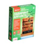 Набор для опытов Лабиринт для цветка