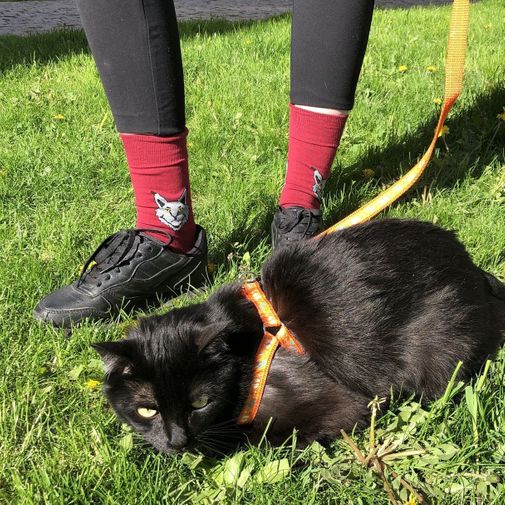 Носки Самый добрый малыш на свете Носки Самый добрый малыш на свете