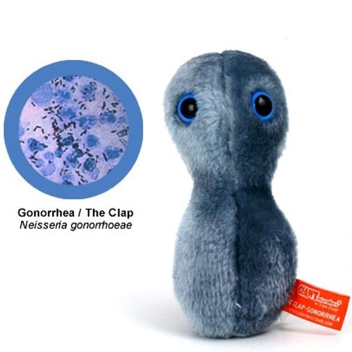 Игрушка Микроб Гонорея Игрушка Микроб Гонорея
