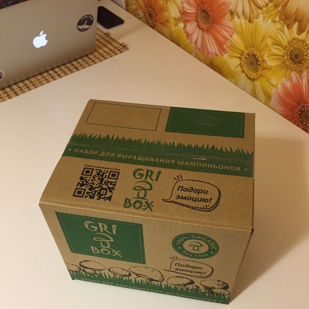 Набор для выращивания шампиньонов Gribox